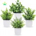 Plastic plant flower PPF20111 Plastic plant flower PPF20111