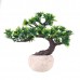 Plastic plant flower PPF20116 Plastic plant flower PPF20116