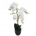 Plastic plant flower PPF20118 Plastic plant flower PPF20118