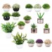 Plastic plant flower PPF20122 Plastic plant flower PPF20122